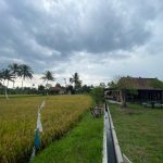 rumah makan pemandangan sawah borobudur