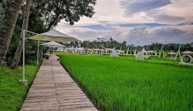 Mengunjungi Svargabumi Sebagai Wisata Sawah Pertama dan Terbaik di Indonesia