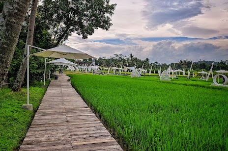 Mengunjungi Svargabumi Sebagai Wisata Sawah Pertama dan Terbaik di Indonesia