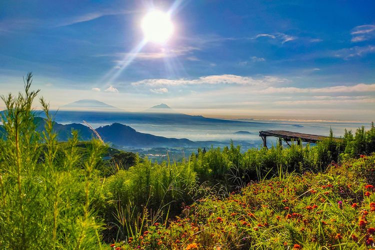 https://travel.kompas.com/read/2020/09/16/070700027/25-tempat-wisata-keren-di-magelang-pas-untuk-liburan?page=all