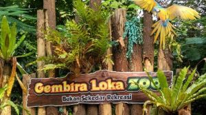https://travel.tribunnews.com/2018/10/03/ingin-melihat-atraksi-satwa-di-kebun-binatang-gembira-loka-cek-jadwalnya-dulu-di-sini